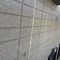 ブログ詳細